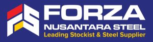 logo forza besi